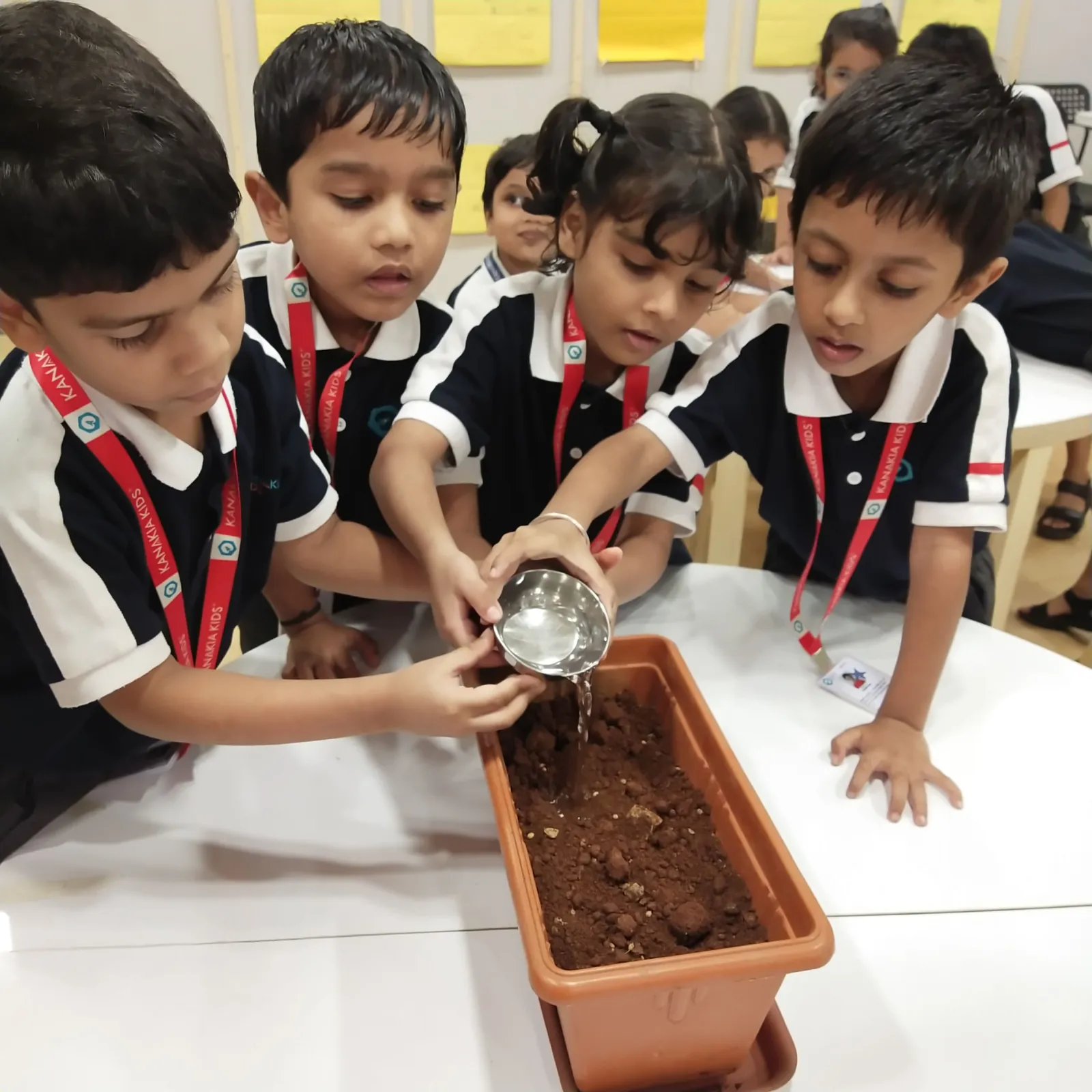 Pre-primary learners watering a planter